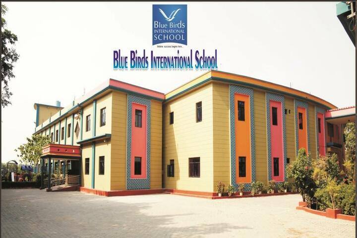 Blue Birds International School (BBIS), Dhanaura, Amroha: Admission